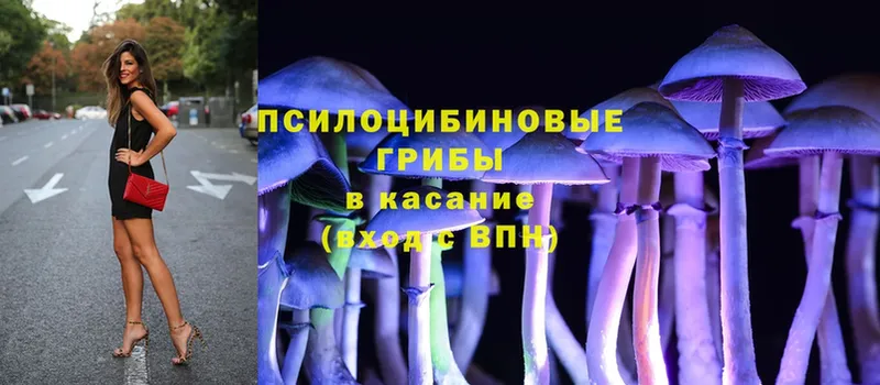 где купить   Микунь  МЕГА ссылки  Псилоцибиновые грибы MAGIC MUSHROOMS 